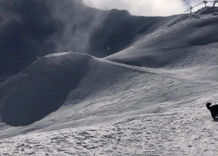 Duplex Renove Dans Prive Proche De Toutes Commodites Place De Parking Inclu *